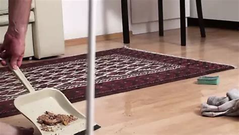 Humiliatrix Princess Femdom Toilet Humiliation Mistress Porn By Femdom Austria XHamster