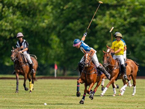 Druids Lodge Polo Club added a... - Druids Lodge Polo Club