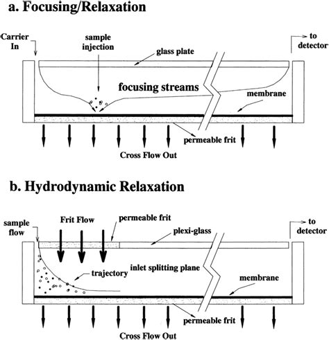 Schematic Diagrams Showing The Side Views Of A A Conventional Download Scientific Diagram