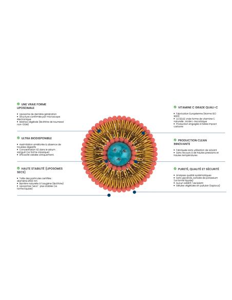 Vitamine C Liposomale G Lules