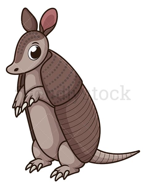 Armadillo Standing Cartoon Clipart Vector Friendlystock