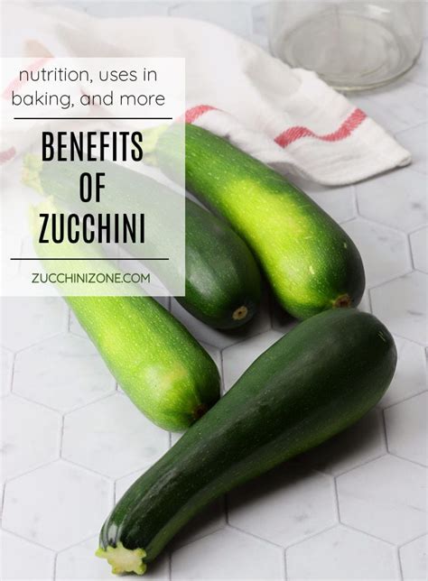 Benefits Of Zucchini Zucchini Zone