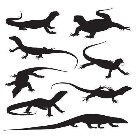 Premium Vector Lizard Silhouette