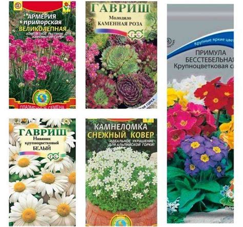 Многолетники, которые можно вырастить из семян: список цветов и ...