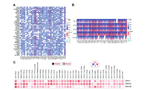 Correlation Analysis Of Phf Expression And Immune Checkpoint Genes In