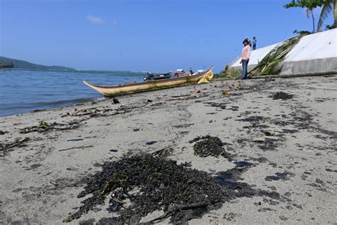 Dswd Unveils Cash For Work Program For Oriental Mindoro Oil Spill Cleaners