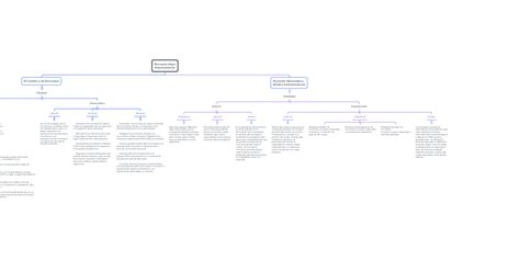 Neuropsicología Neuroanatomía Mindmeister Mapa Mental