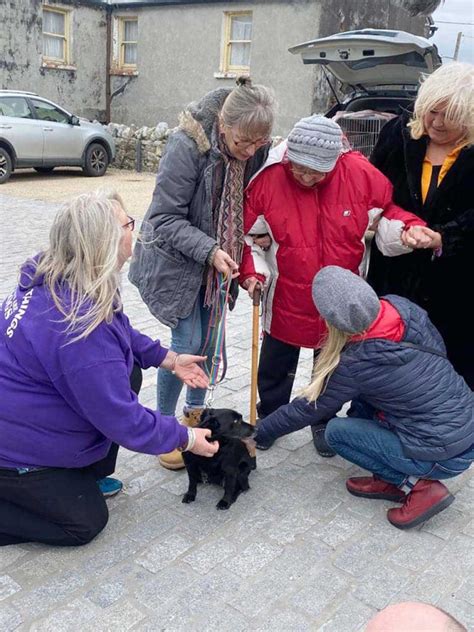 Une Grand M Re Retrouve Son Chien Bien Aim De Ans Apr S Avoir T