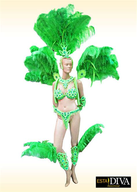 Samba Feather Outfit Rio Samba Carnival Costume Set Custom-made - Etsy