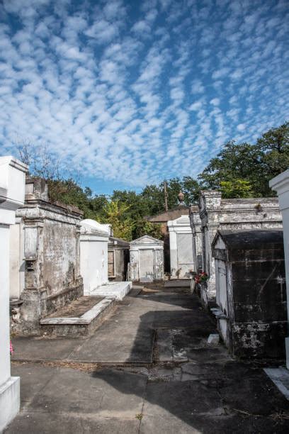 40 Lafayette Cemetery No 1 Fotos De Stock Imagens E Fotos Royalty