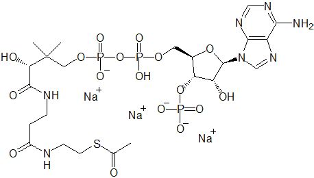 Acetyl Coenzyme A Sodium Salt Endotherm Referenzsubstanzen