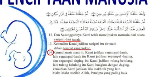 Makalah Proses Penciptaan Manusia Menurut Al Qur An Dan Hadist