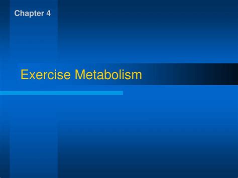 PPT - Exercise Metabolism PowerPoint Presentation, free download - ID ...