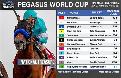 Pegasus World Cup Field Odds And Race Day Picks At Gulfstream