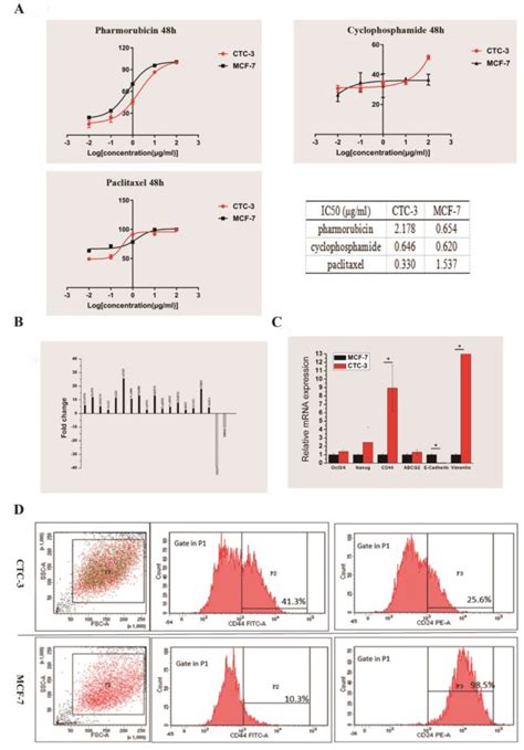 Establishment And Characterization Of A CTC Cell Line From Peripheral