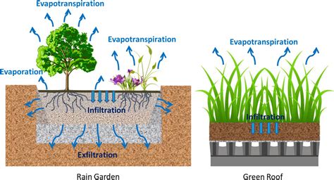 Temperatuur Regulatie Stedelijk Hitte Eilanden EcoCities