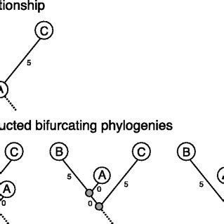 Phylogenetic Tree Inferred By Csi Phylogeny This Is The Un Collapsed