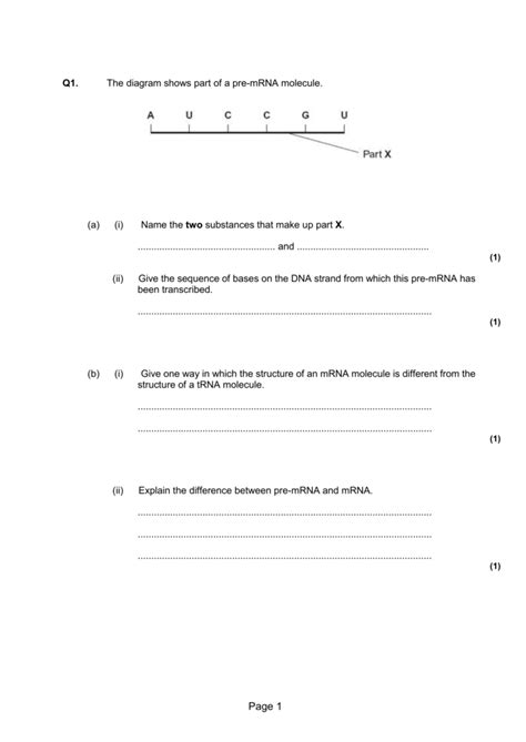 Dna Rna And Protein Synthesis Exam Questions