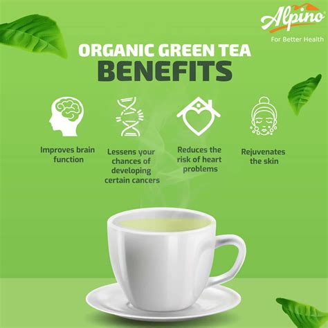 Buy ALPINO CERTIFIED ORGANIC DETOX KAHWA GREEN TEA 100G TIN DESI