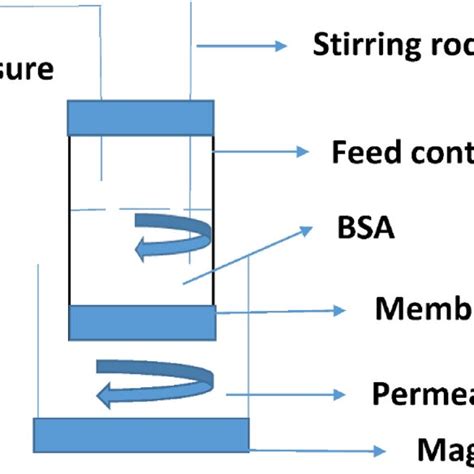 Schematic Figure Of Dead End Filtration Cell For Water Flux And Bsa Download Scientific Diagram