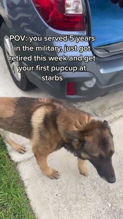 Rider Gets His First Pup Cup At Starbucks Youtube