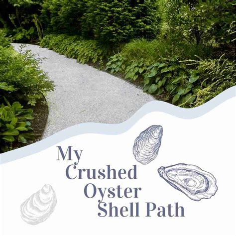 My New Sustainable Coastal Crushed Oyster Shell Garden Path – Gal Pal ...