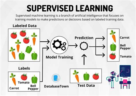 Supervised Learning Algorithms Examples And How It Works