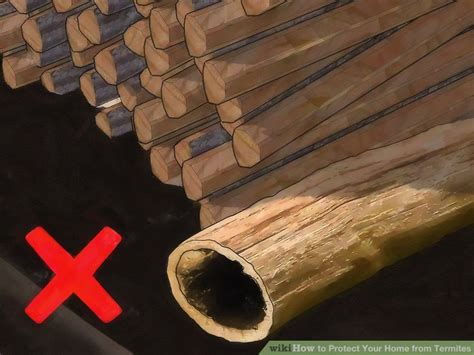 3 Ways To Protect Your Home From Termites Wikihow