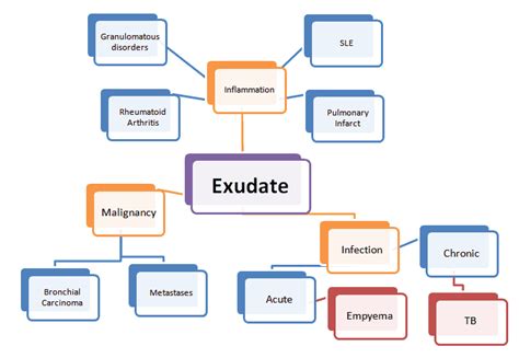 Pleural Effusion Almostadoctor Pleural Effusion Medical Mnemonics Nursing School Notes