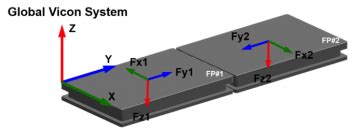 Ground Reactions Forces OrthoLoad