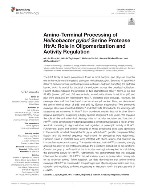 Pdf Amino Terminal Processing Of Helicobacter Pylori Serine Protease