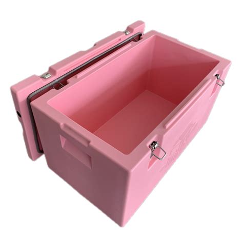 Supply Cold Chain Transport Container For Cold Food Wholesale Factory ...