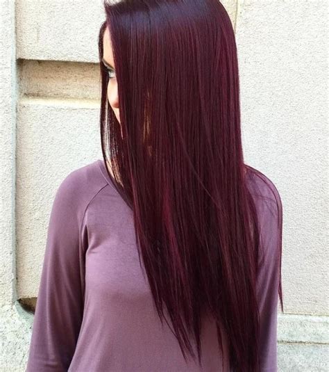 Med Tech Запись со стены Plum Hair Hair Color Shades Colored Hair