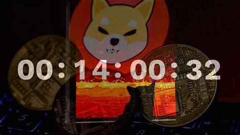 Shiba Inu Shib Launching A Special Countdown In Anticipation Of Shibarium