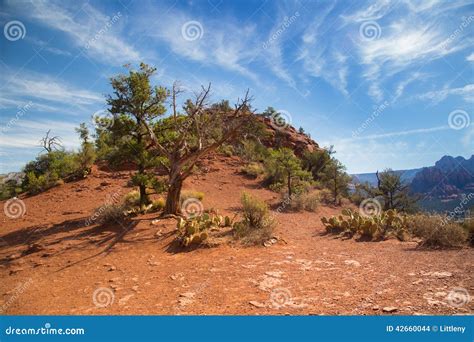 Sedona Vortex stock photo. Image of power, sacred, arizona - 42660044