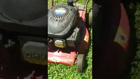 Grass Cutting Youtube