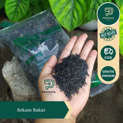 Jual PROMO Media Tanam Sekam Bakar 2liter Shopee Indonesia