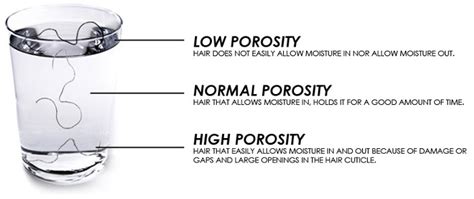 Low Porosity Hair – Best Products and Styling Tips | Shampoo Truth