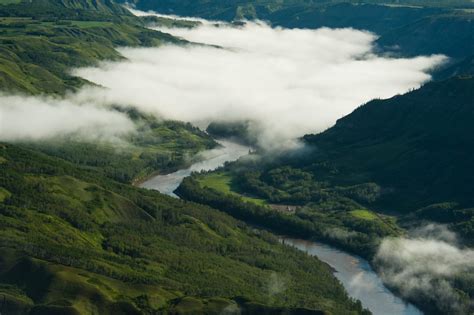 Inside Blueberry River First Nations’ fight to repair B.C. landscape