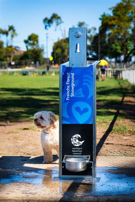 Dog Water Fountain Central Park at Jason Rocha blog