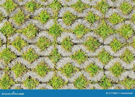 Green Grass In The Block Brick Stock Image Image Of Summer Material 27178067