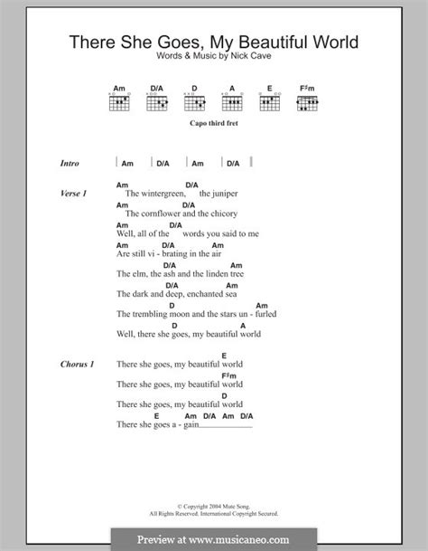 There She Goes My Beautiful World Por N Cave Partituras On M Sicaneo