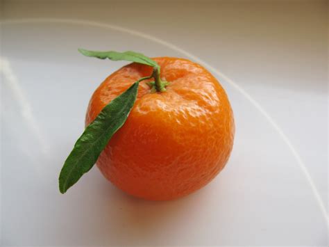 Free Images Fruit Food Produce Vegetable Healthy Tangerine