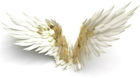 Realistic Angel Wings Stock Photos, Images and Backgrounds for Free ...