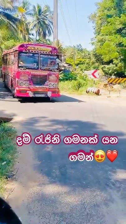 දම් රැජිනි😍 චැනල් එකත් Subscribe කරල සපෝට් එකක් ඕන යාලුවනේ🔥 ️ Youtube