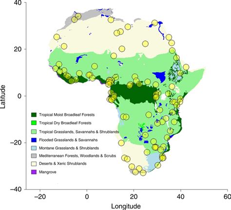 Divergent Trends In Functional And Phylogenetic Structure In Reptile