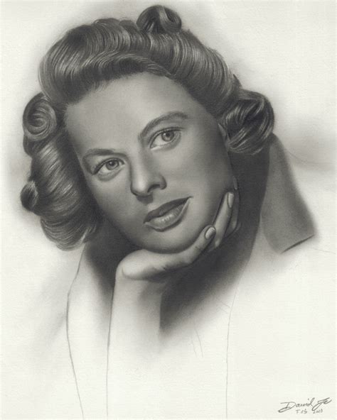 Pencil Drawings By David Te Portrait Of Ingrid Bergman And Work In