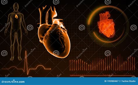 Structure Of Human Heart While Pumping Stock Illustration