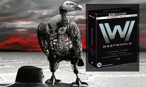 Westworld Saisons 1 3 4K Les Offres ChocoBonPlan