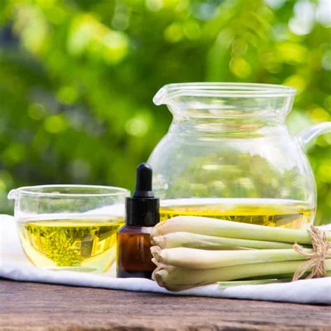 lemongrass essential oil benefits   side effects dr axe